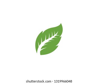 Green leaf ecology nature element vector