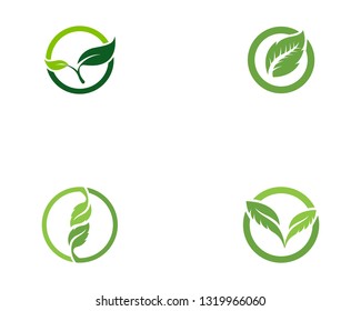 Green leaf ecology nature element vector