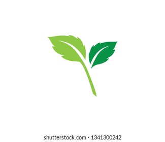green leaf ecology nature element vector icon