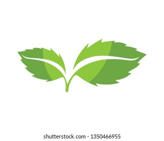 green leaf ecology nature element vector icon