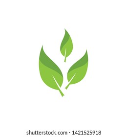 green leaf ecology nature element 