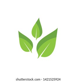 green leaf ecology nature element 