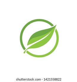 green leaf ecology nature element