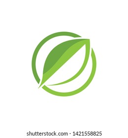 green leaf ecology nature element