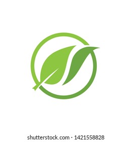 green leaf ecology nature element