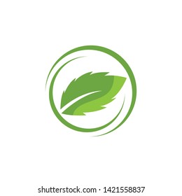 green leaf ecology nature element
