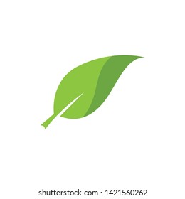 green leaf ecology nature element 