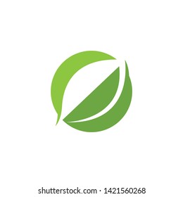 green leaf ecology nature element 