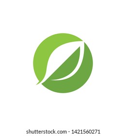 green leaf ecology nature element 