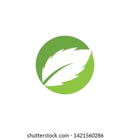 green leaf ecology nature element 