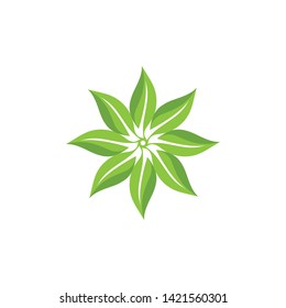 green leaf ecology nature element 