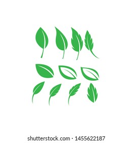 
green leaf ecology nature element vector