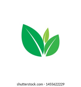 
green leaf ecology nature element vector