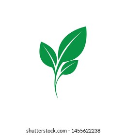 
green leaf ecology nature element vector