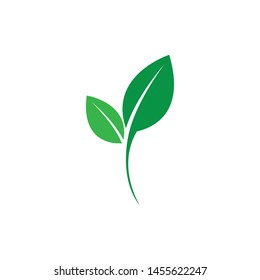 
green leaf ecology nature element vector