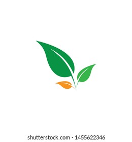 
green leaf ecology nature element vector