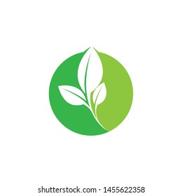 
green leaf ecology nature element vector