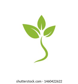 green leaf ecology nature element vector icon of go green design 