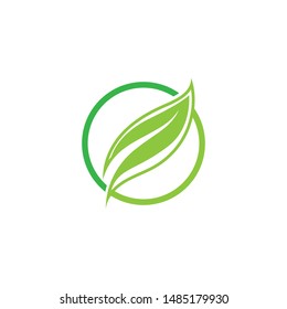 green leaf ecology nature element vector icon
