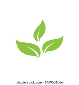 Green leaf ecology nature element vector icon. plant. tree nature logo design decorative elements. beautiful leaf vector. leaf vector. silhouette leaf vector