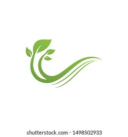 green leaf ecology nature element