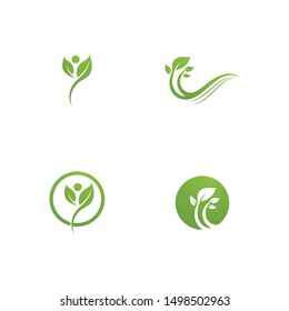 green leaf ecology nature element