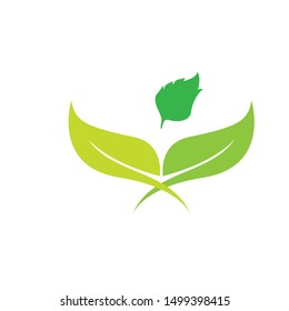 Green leaf ecology nature element vector icon
