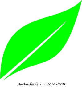 green leaf ecology nature element vector icon