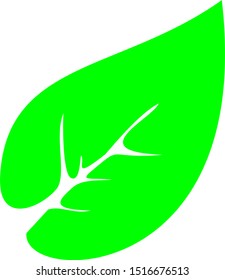 green leaf ecology nature element vector icon