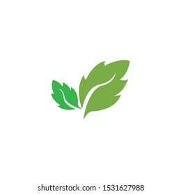 green leaf ecology nature element