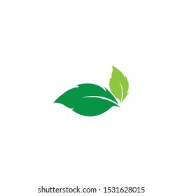 green leaf ecology nature element