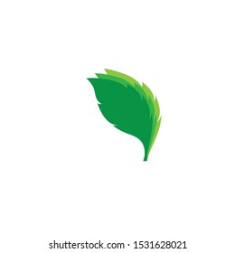 green leaf ecology nature element