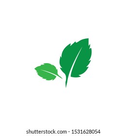 green leaf ecology nature element