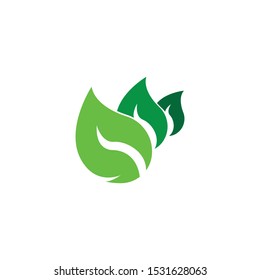 green leaf ecology nature element
