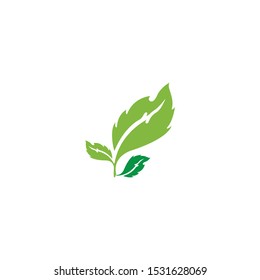 green leaf ecology nature element