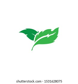 green leaf ecology nature element