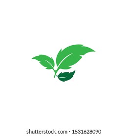 green leaf ecology nature element