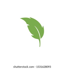 green leaf ecology nature element