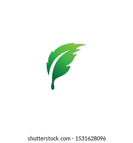 green leaf ecology nature element
