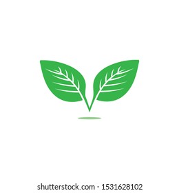 green leaf ecology nature element