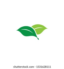 green leaf ecology nature element
