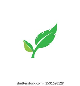 green leaf ecology nature element
