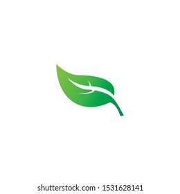 green leaf ecology nature element