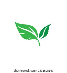 green leaf ecology nature element