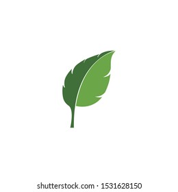 green leaf ecology nature element