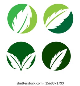 Green Leaf Ecology Nature Element Vector stock