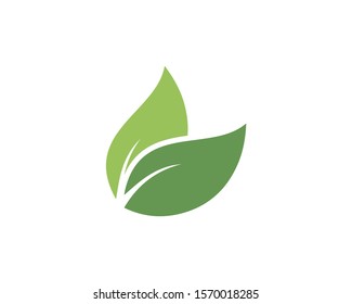 Green leaf ecology nature element vector icon