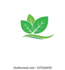 green leaf ecology nature element vector icon of go green design