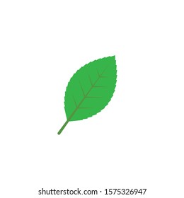 green leaf ecology nature element vector icon of go green design