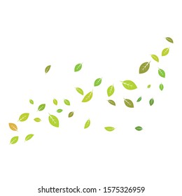 green leaf ecology nature element vector icon of go green design